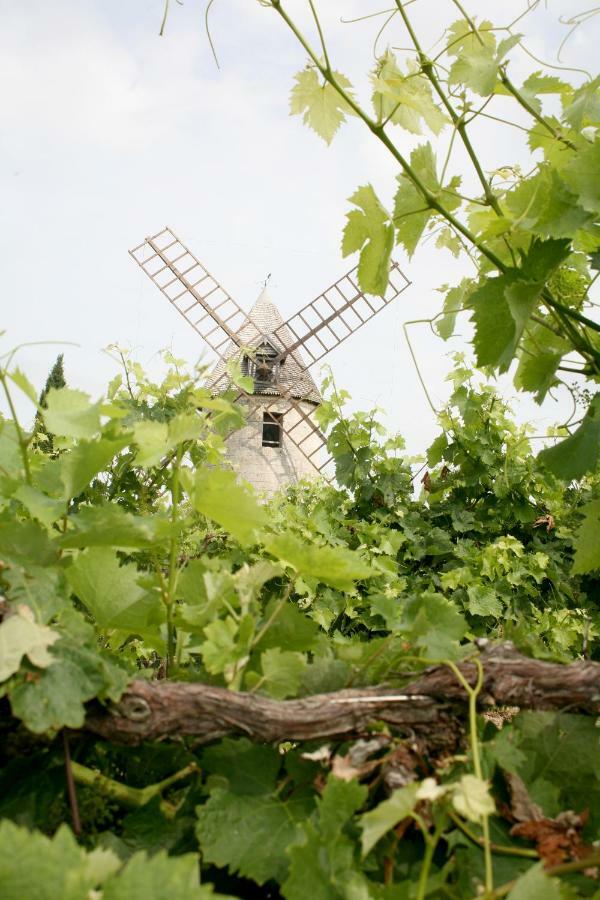 Au Coeur Des Vignes Panzió Archiac Kültér fotó