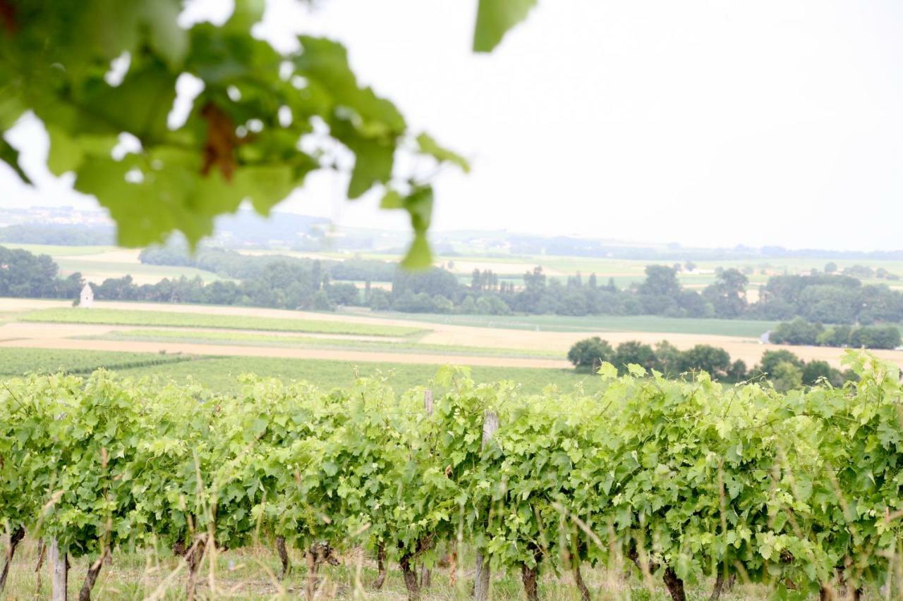 Au Coeur Des Vignes Panzió Archiac Kültér fotó